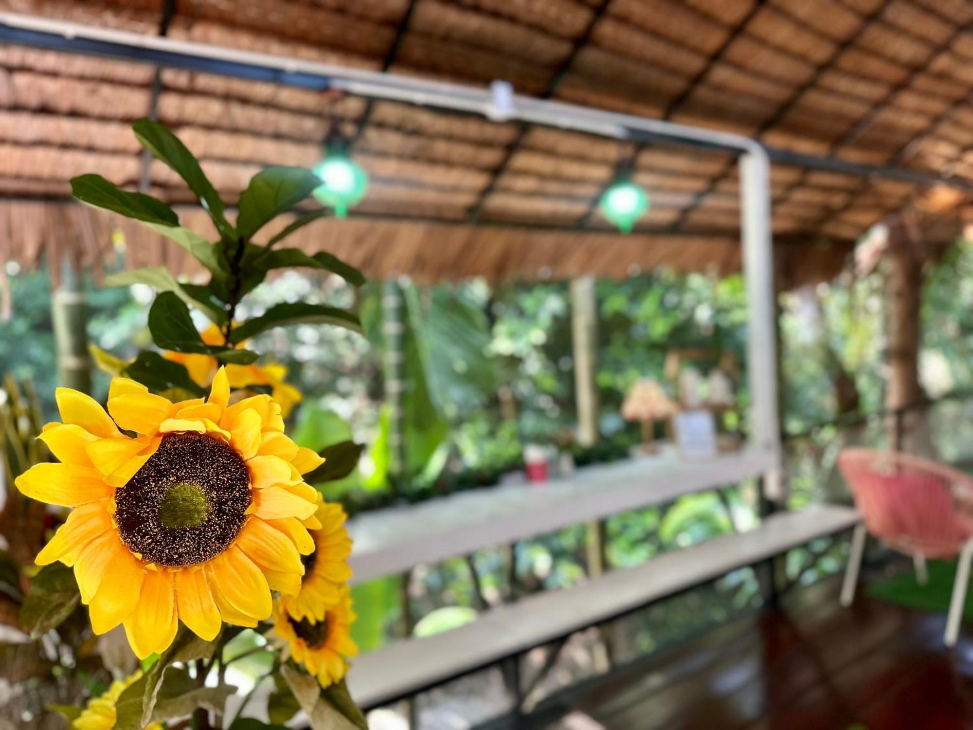 Nua Tone Resort Bang Tao & Cafe 외부 사진